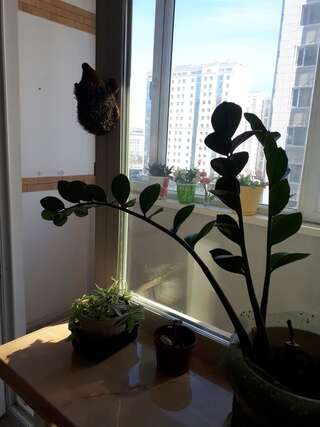 Апартаменты Tymar apartaments Нур-Султан Апартаменты с 1 спальней-5